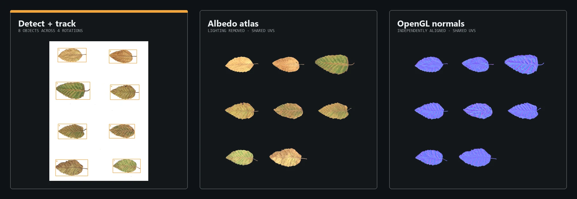 Eight dry leaves detected from one scan and reconstructed into matching albedo and normal atlases