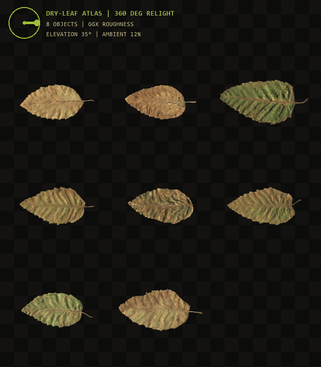 Eight reconstructed dry leaves in one atlas relit through a full orbit