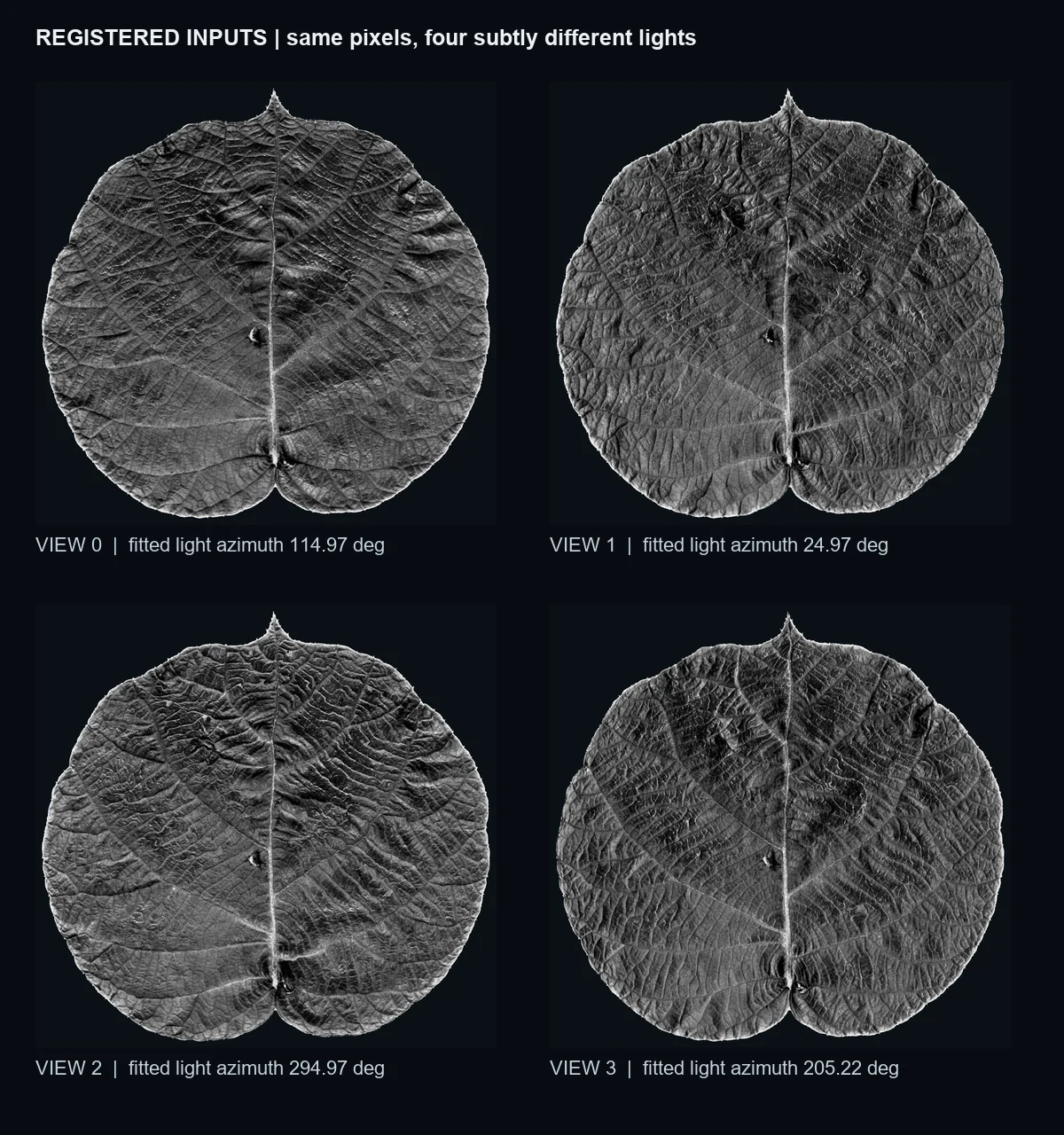 Four registered kiwi leaf luminance observations with their fitted light azimuths