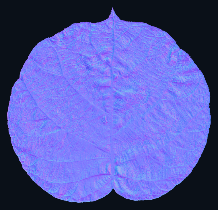 The kiwi leaf normal map recovered by LUMEN-PS