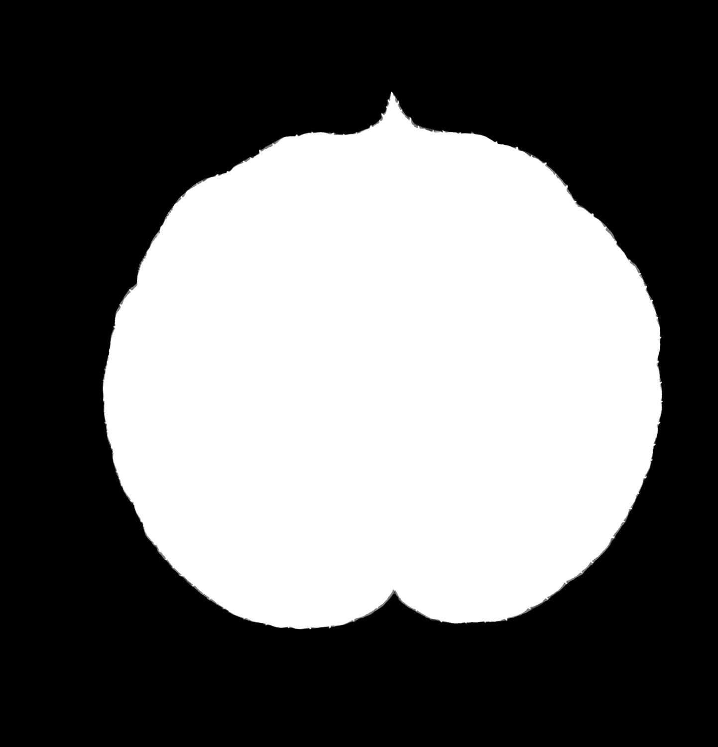 Mask agreement between the four registered scans