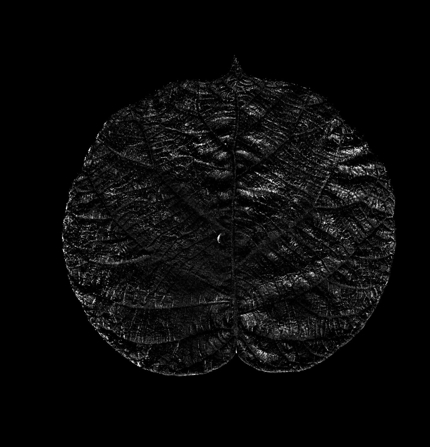 Absolute residual between the observed and predicted scan