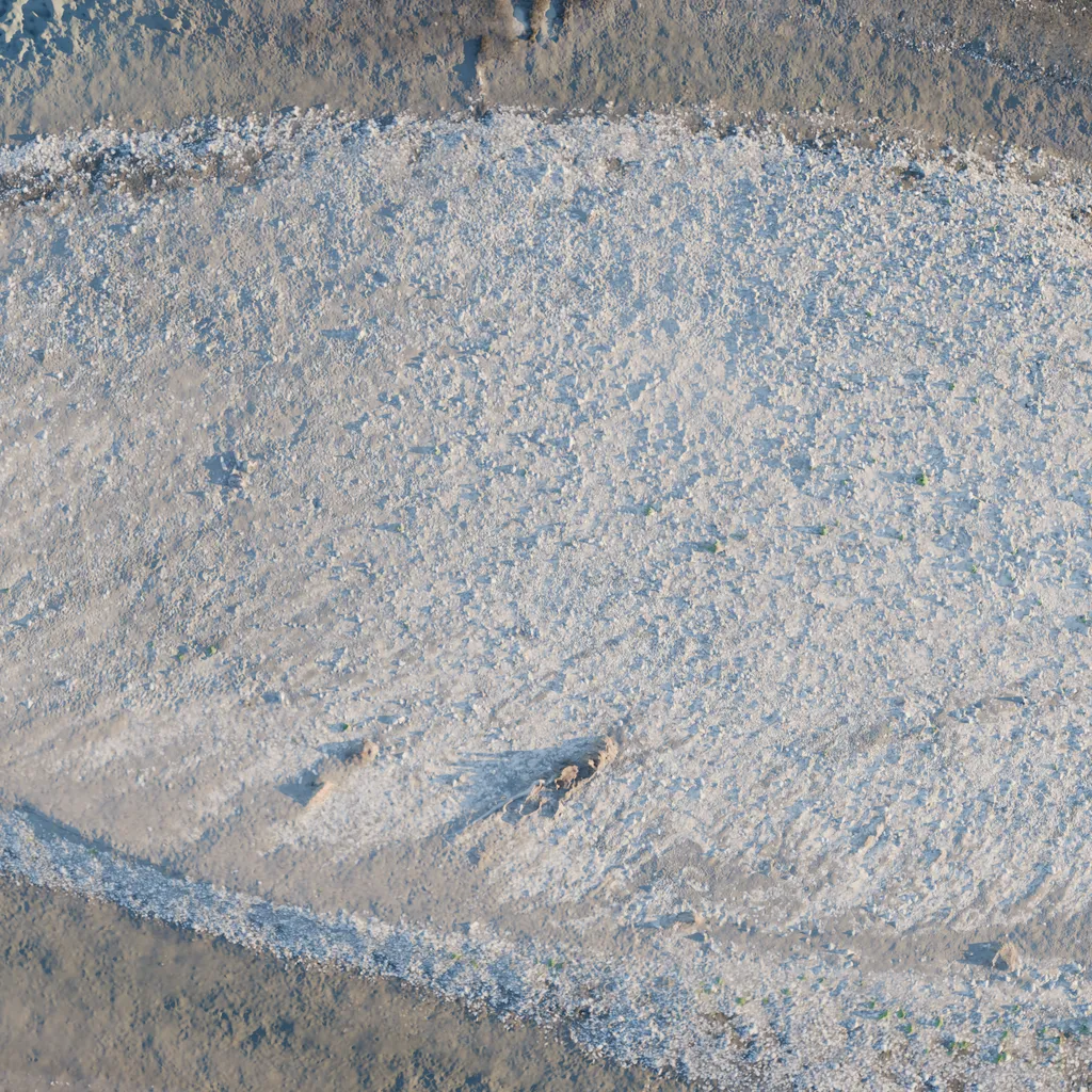 Gravel Riverbed — A scanned riverbed with natural stones, sediment, and organic detail.